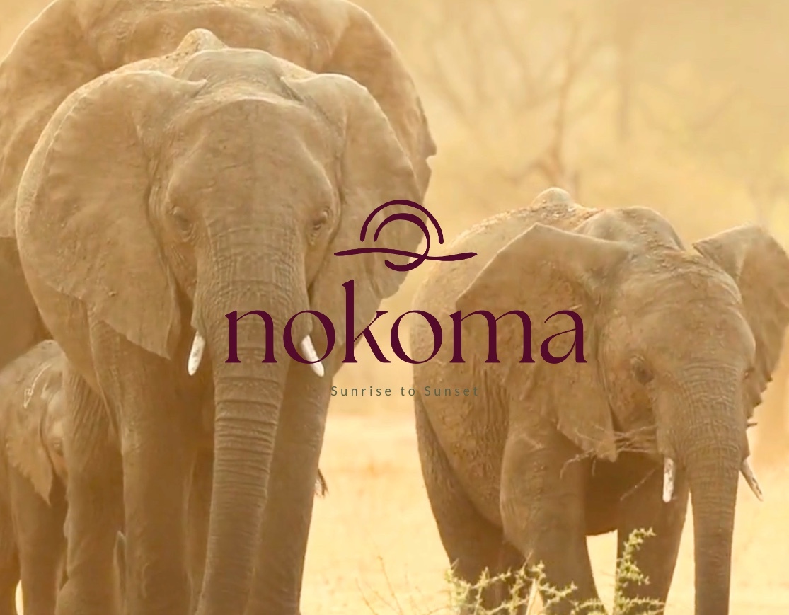 Nokoma Webdesign – performante Unternehmenswebseite von QuantrisLab